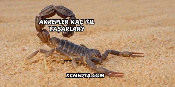 Akrepler Kaç Yıl Yaşarlar?