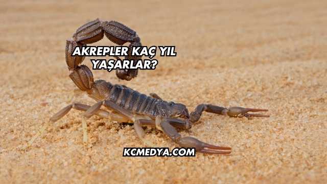 Akrepler Kaç Yıl Yaşarlar?