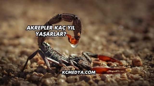 Akrepler Kaç Yıl Yaşarlar?