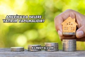 Amerika'da Nelere Yatırım Yapılmalıdır?
