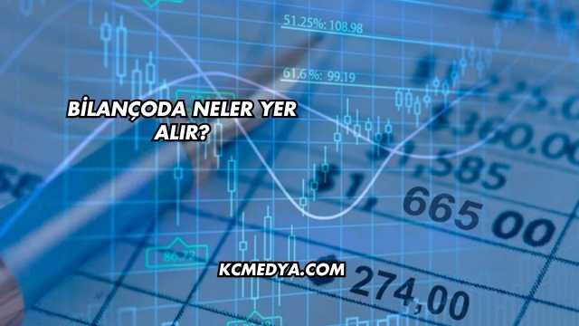 Bilançoda Neler Yer Alır?