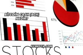 Bitcoin Cash (BCH) Nedir?