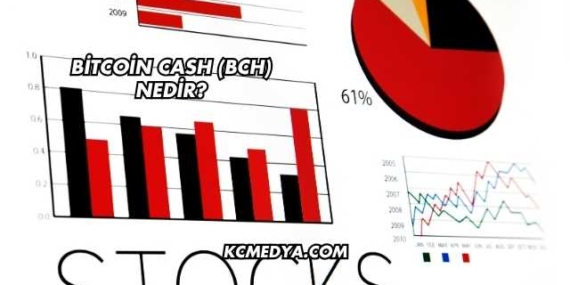 Bitcoin Cash (BCH) Nedir?