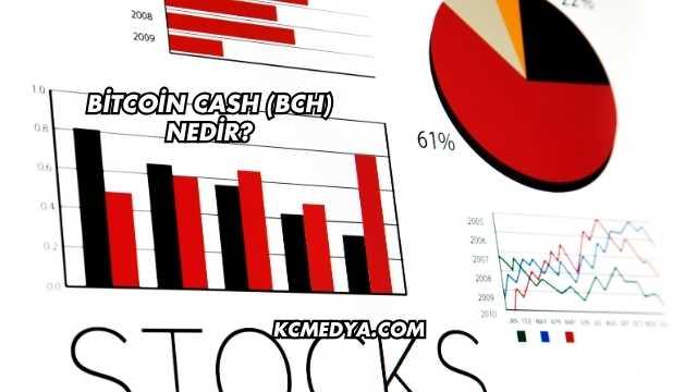 Bitcoin Cash (BCH) Nedir?