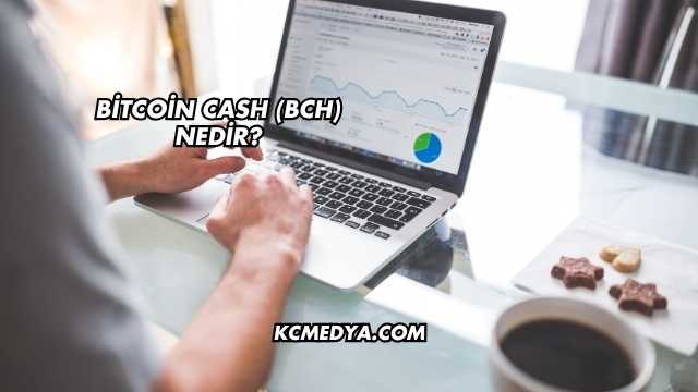 Bitcoin Cash (BCH) Nedir?