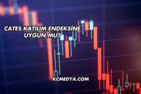 Cates Katılım Endeksine Uygun mu?