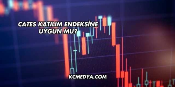 Cates Katılım Endeksine Uygun mu?