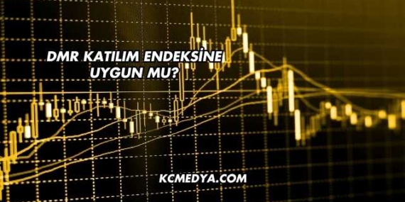 DMR Katılım Endeksine Uygun mu?