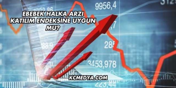 Ebebek Halka Arzı Katılım Endeksine Uygun mu?