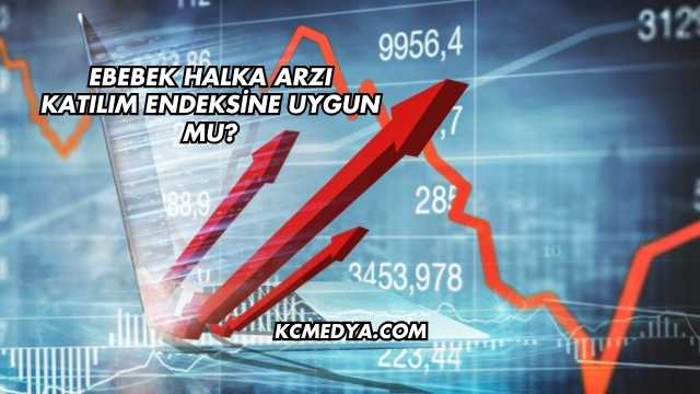 Ebebek Halka Arzı Katılım Endeksine Uygun mu?