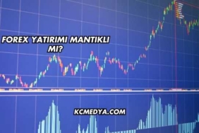 Forex Yatırımı Mantıklı mı?
