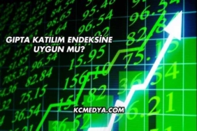 Gıpta Katılım Endeksine Uygun mu
