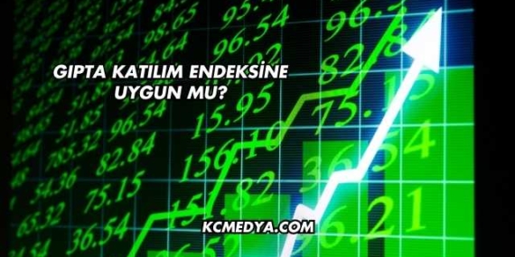 Gıpta Katılım Endeksine Uygun mu?