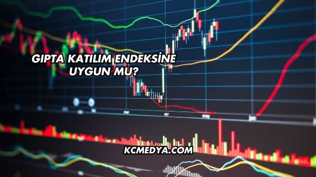 Gıpta Katılım Endeksine Uygun mu