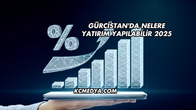 Gürcistan'da Nelere Yatırım Yapılabilir 2025