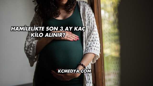 Hamilelikte Son 3 Ay Kaç Kilo Alınır