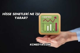 Hisse Senetleri Ne İşe Yarar?