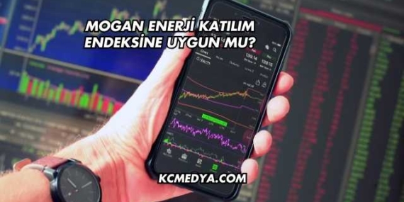 Mogan Enerji Katılım Endeksine Uygun mu?