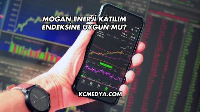 Mogan Enerji Katılım Endeksine Uygun mu?