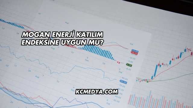 Mogan Enerji Katılım Endeksine Uygun mu?