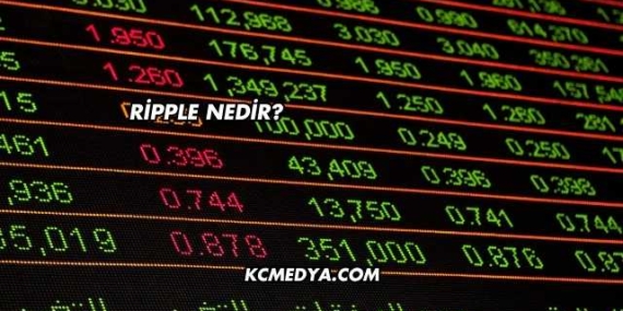 Ripple Nedir?