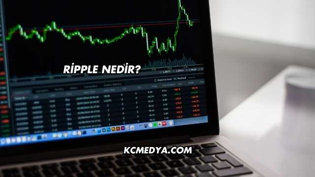 Ripple Nedir?
