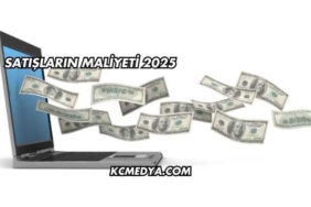 Satışların Maliyeti 2025