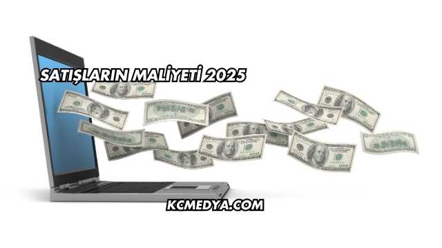 Satışların Maliyeti 2025