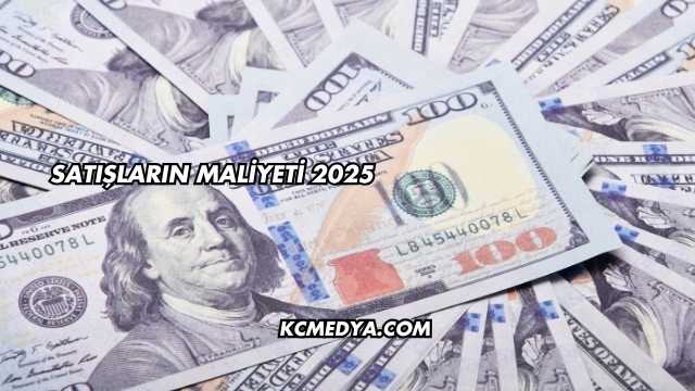 Satışların Maliyeti 2025
