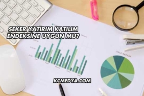 Şeker Yatırım Katılım Endeksine Uygun mu?