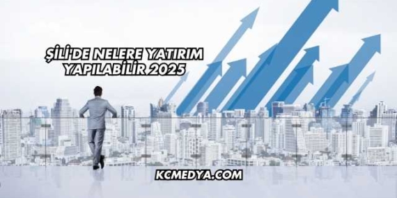 Şili’de Nelere Yatırım Yapılabilir 2025
