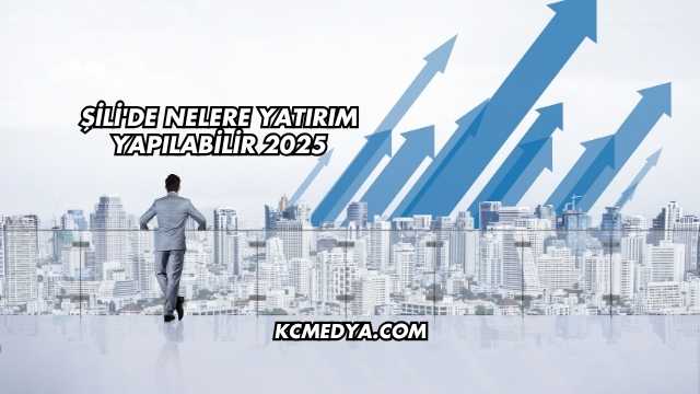 Şili'de Nelere Yatırım Yapılabilir 2025