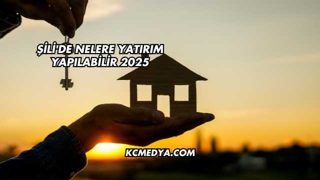 Şili'de Nelere Yatırım Yapılabilir 2025