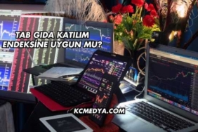 Tab Gıda Katılım Endeksine Uygun mu?
