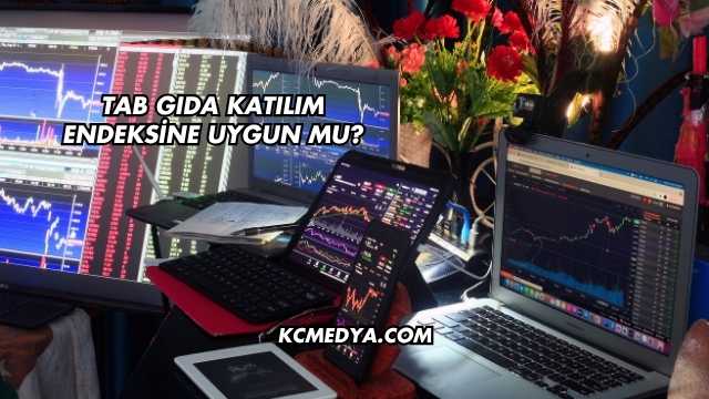 Tab Gıda Katılım Endeksine Uygun mu?