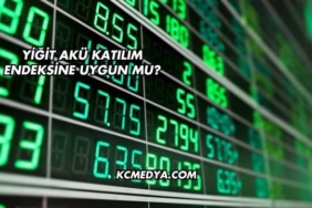 Yiğit Akü Katılım Endeksine Uygun mu?