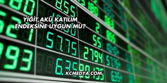 Yiğit Akü Katılım Endeksine Uygun mu?