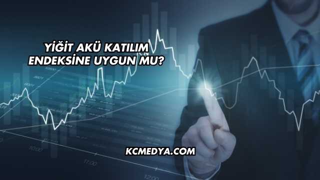 Yiğit Akü Katılım Endeksine Uygun mu?