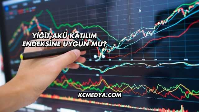 Yiğit Akü Katılım Endeksine Uygun mu?