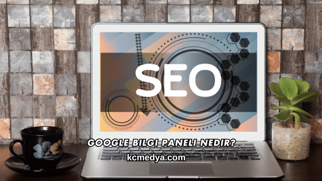 Google Bilgi Paneli Nedir?