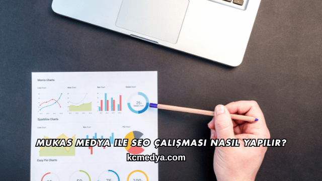 Mukas Medya ile SEO Çalışması Nasıl Yapılır?